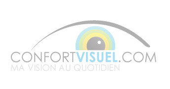 Bilan conseil Basse Vision visio-conference