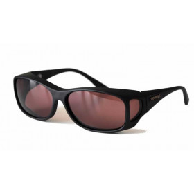 Surlunettes basse vision Prune